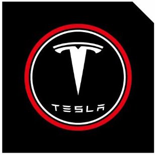 LED Logo Tesla Puddle Lights 2pcs/4pcs for Model 3/Y/S/X