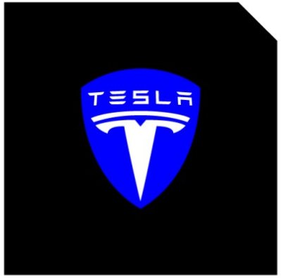 LED Logo Tesla Puddle Lights 2pcs/4pcs for Model 3/Y/S/X