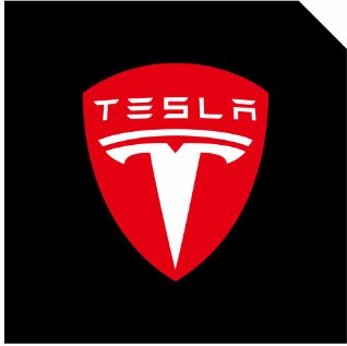 LED Logo Tesla Puddle Lights 2pcs/4pcs for Model 3/Y/S/X