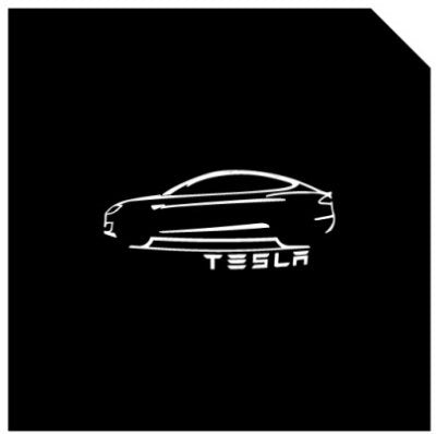 LED Logo Tesla Puddle Lights 2pcs/4pcs for Model 3/Y/S/X